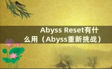 Abyss Reset有什么用（Abyss重新挑战）